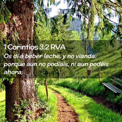 Picture 02 - 1 Corintios 3:2 RVA - Os dí á beber leche, y no vianda: porque aun no - Bible Verse Picture