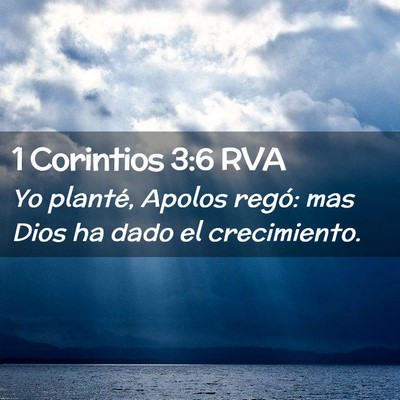 Picture 02 - 1 Corintios 3:6 RVA - Yo planté, Apolos regó: mas Dios ha dado el - Bible Verse Picture