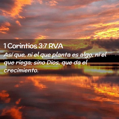 Picture 02 - 1 Corintios 3:7 RVA - Así que, ni el que planta es algo, ni el que - Bible Verse Picture