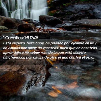 Picture 02 - 1 Corintios 4:6 RVA - Esto empero, hermanos, he pasado por ejemplo en - Bible Verse Picture