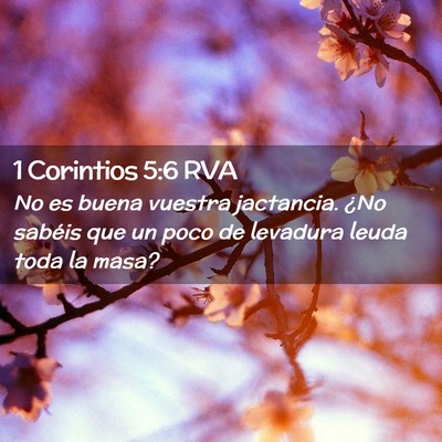Picture 02 - 1 Corintios 5:6 RVA - No es buena vuestra jactancia. ¿No sabéis que - Bible Verse Picture