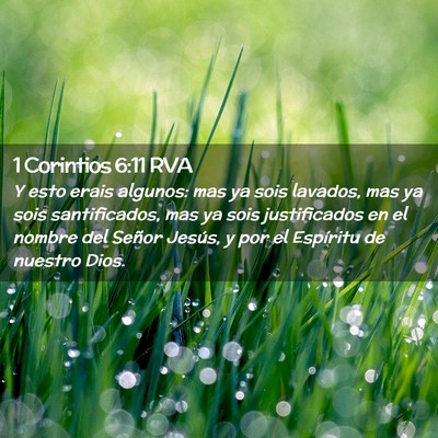 Picture 02 - 1 Corintios 6:11 RVA - Y esto erais algunos: mas ya sois lavados, mas ya - Bible Verse Picture