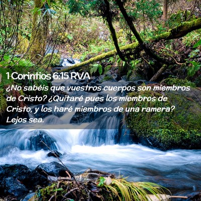 Picture 02 - 1 Corintios 6:15 RVA - ¿No sabéis que vuestros cuerpos son miembros de - Bible Verse Picture