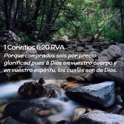 Picture 02 - 1 Corintios 6:20 RVA - Porque comprados sois por precio: glorificad pues - Bible Verse Picture