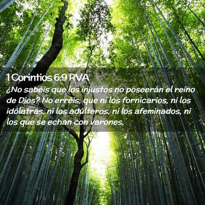 Picture 02 - 1 Corintios 6:9 RVA - ¿No sabéis que los injustos no poseerán el - Bible Verse Picture