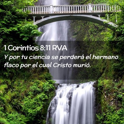 Picture 02 - 1 Corintios 8:11 RVA - Y por tu ciencia se perderá el hermano flaco por - Bible Verse Picture