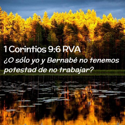 Picture 02 - 1 Corintios 9:6 RVA - ¿O sólo yo y Bernabé no tenemos potestad de no - Bible Verse Picture