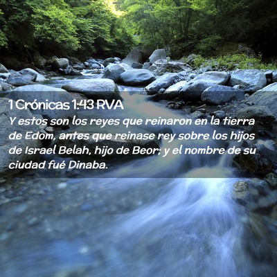 Picture 02 - 1 Crónicas 1:43 RVA - Y estos son los reyes que reinaron en la tierra - Bible Verse Picture