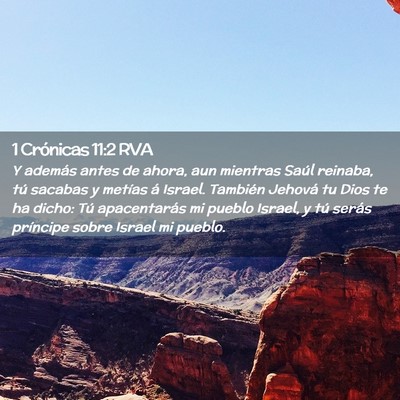 Picture 02 - 1 Crónicas 11:2 RVA - Y además antes de ahora, aun mientras Saúl - Bible Verse Picture
