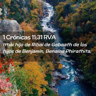 Picture 02 - 1 Crónicas 11:31 RVA - Ithai hijo de Ribai de Gabaath de los hijos de - Bible Verse Picture