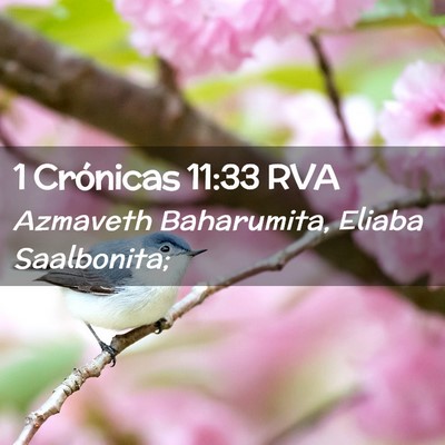 Picture 02 - 1 Crónicas 11:33 RVA - Azmaveth Baharumita, Eliaba - Bible Verse Picture