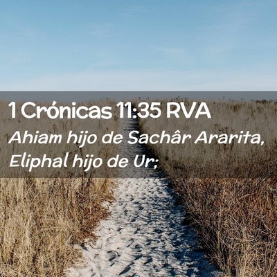Picture 02 - 1 Crónicas 11:35 RVA - Ahiam hijo de Sachâr Ararita, Eliphal hijo de - Bible Verse Picture