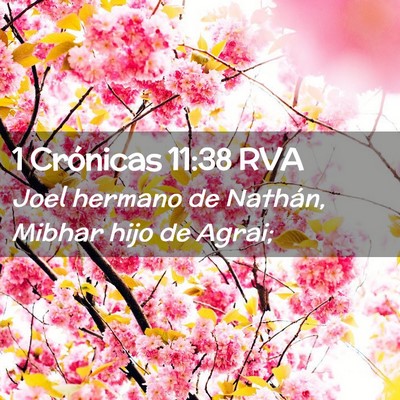 Picture 02 - 1 Crónicas 11:38 RVA - Joel hermano de Nathán, Mibhar hijo de - Bible Verse Picture