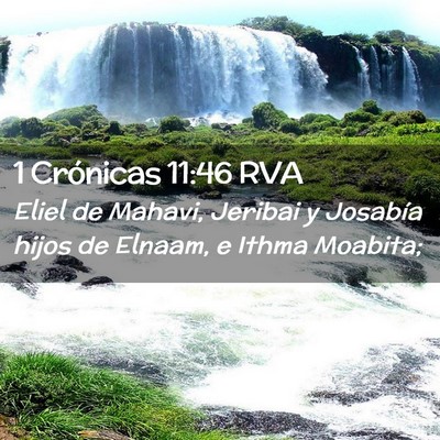 Picture 02 - 1 Crónicas 11:46 RVA - Eliel de Mahavi, Jeribai y Josabía hijos de - Bible Verse Picture