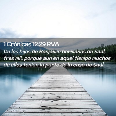 Picture 02 - 1 Crónicas 12:29 RVA - De los hijos de Benjamín hermanos de Saúl, tres - Bible Verse Picture