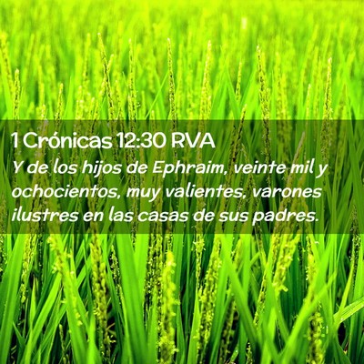 Picture 02 - 1 Crónicas 12:30 RVA - Y de los hijos de Ephraim, veinte mil y - Bible Verse Picture