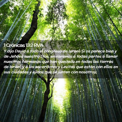 Picture 02 - 1 Crónicas 13:2 RVA - Y dijo David á todo el congreso de Israel: Si os - Bible Verse Picture