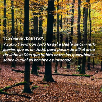 Picture 02 - 1 Crónicas 13:6 RVA - Y subió David con todo Israel á Baala de - Bible Verse Picture