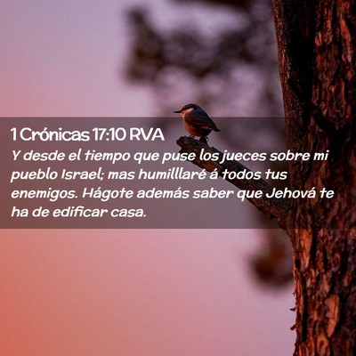 Picture 02 - 1 Crónicas 17:10 RVA - Y desde el tiempo que puse los jueces sobre mi - Bible Verse Picture