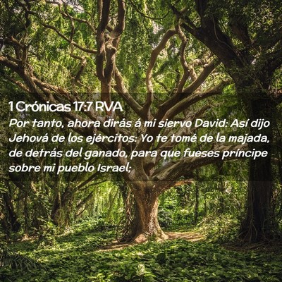 Picture 02 - 1 Crónicas 17:7 RVA - Por tanto, ahora dirás á mi siervo David: Así - Bible Verse Picture