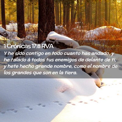 Picture 02 - 1 Crónicas 17:8 RVA - Y he sido contigo en todo cuanto has andado, y he - Bible Verse Picture
