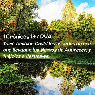 Picture 02 - 1 Crónicas 18:7 RVA - Tomó también David los escudos de oro que - Bible Verse Picture
