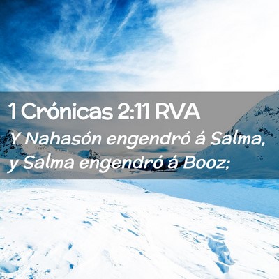 Picture 02 - 1 Crónicas 2:11 RVA - Y Nahasón engendró á Salma, y Salma engendró - Bible Verse Picture