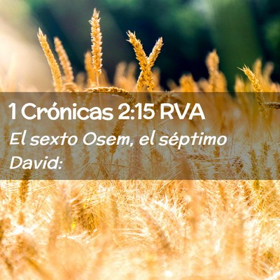 Picture 02 - 1 Crónicas 2:15 RVA - El sexto Osem, el séptimo - Bible Verse Picture