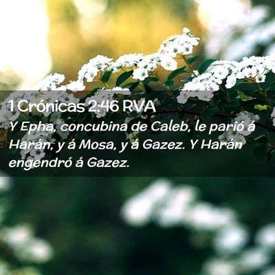Picture 02 - 1 Crónicas 2:46 RVA - Y Epha, concubina de Caleb, le parió á Harán, - Bible Verse Picture