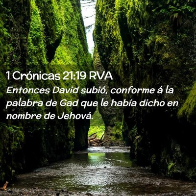 Picture 02 - 1 Crónicas 21:19 RVA - Entonces David subió, conforme á la palabra de - Bible Verse Picture