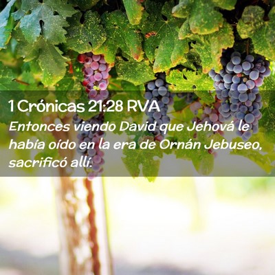 Picture 02 - 1 Crónicas 21:28 RVA - Entonces viendo David que Jehová le había oído - Bible Verse Picture