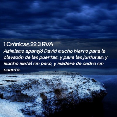 Picture 02 - 1 Crónicas 22:3 RVA - Asimismo aparejó David mucho hierro para la - Bible Verse Picture