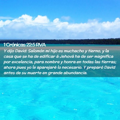 Picture 02 - 1 Crónicas 22:5 RVA - Y dijo David: Salomón mi hijo es muchacho y - Bible Verse Picture