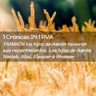 Picture 02 - 1 Crónicas 24:1 RVA - TAMBIÉN los hijos de Aarón tuvieron sus - Bible Verse Picture