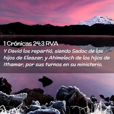 Picture 02 - 1 Crónicas 24:3 RVA - Y David los repartió, siendo Sadoc de los hijos - Bible Verse Picture