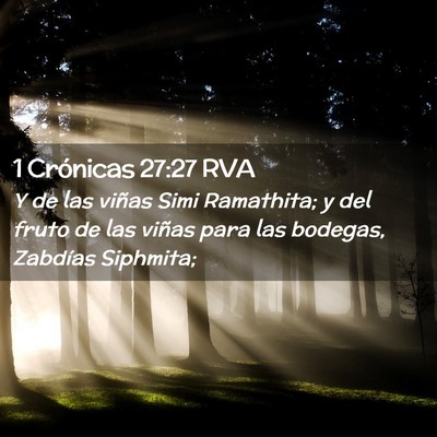 Picture 02 - 1 Crónicas 27:27 RVA - Y de las viñas Simi Ramathita; y del fruto de - Bible Verse Picture