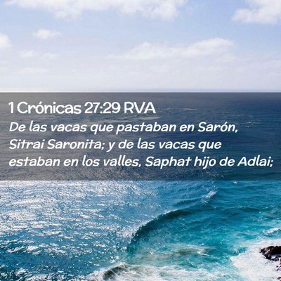 Picture 02 - 1 Crónicas 27:29 RVA - De las vacas que pastaban en Sarón, Sitrai - Bible Verse Picture