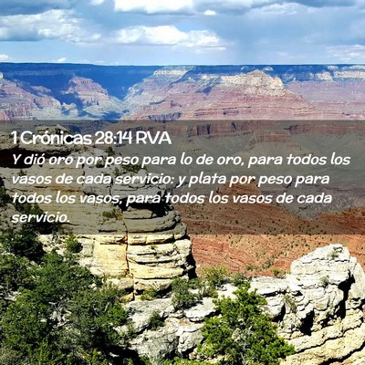 Picture 02 - 1 Crónicas 28:14 RVA - Y dió oro por peso para lo de oro, para todos - Bible Verse Picture