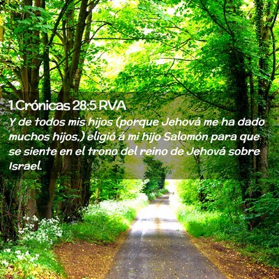 Picture 02 - 1 Crónicas 28:5 RVA - Y de todos mis hijos (porque Jehová me ha dado - Bible Verse Picture
