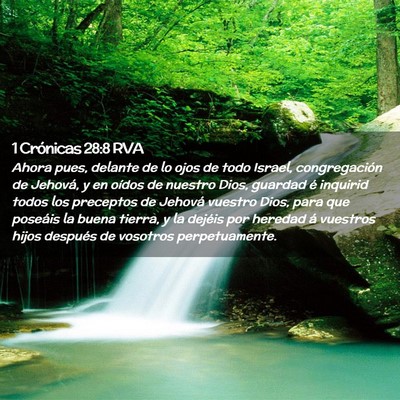 Picture 02 - 1 Crónicas 28:8 RVA - Ahora pues, delante de lo ojos de todo Israel, - Bible Verse Picture