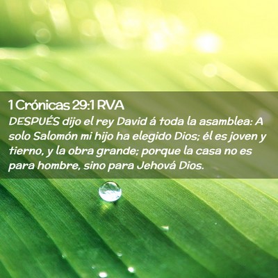Picture 02 - 1 Crónicas 29:1 RVA - DESPUÉS dijo el rey David á toda la asamblea: A - Bible Verse Picture