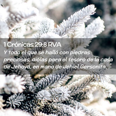 Picture 02 - 1 Crónicas 29:8 RVA - Y todo el que se halló con piedras preciosas, - Bible Verse Picture