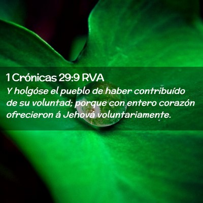 Picture 02 - 1 Crónicas 29:9 RVA - Y holgóse el pueblo de haber contribuído de su - Bible Verse Picture