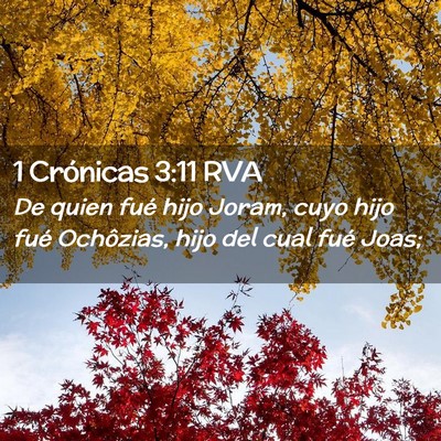 Picture 02 - 1 Crónicas 3:11 RVA - De quien fué hijo Joram, cuyo hijo fué - Bible Verse Picture