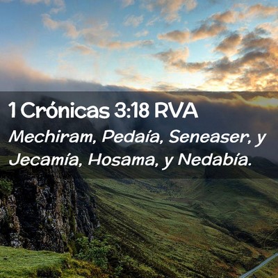 Picture 02 - 1 Crónicas 3:18 RVA - Mechiram, Pedaía, Seneaser, y Jecamía, Hosama, - Bible Verse Picture