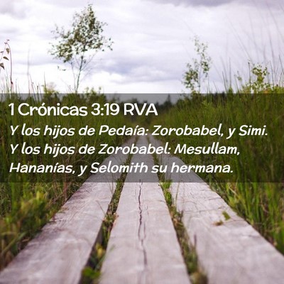 Picture 02 - 1 Crónicas 3:19 RVA - Y los hijos de Pedaía: Zorobabel, y Simi. Y los - Bible Verse Picture