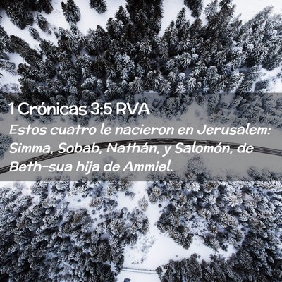 Picture 02 - 1 Crónicas 3:5 RVA - Estos cuatro le nacieron en Jerusalem: Simma, - Bible Verse Picture