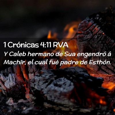 Picture 02 - 1 Crónicas 4:11 RVA - Y Caleb hermano de Sua engendró á Machîr, el - Bible Verse Picture