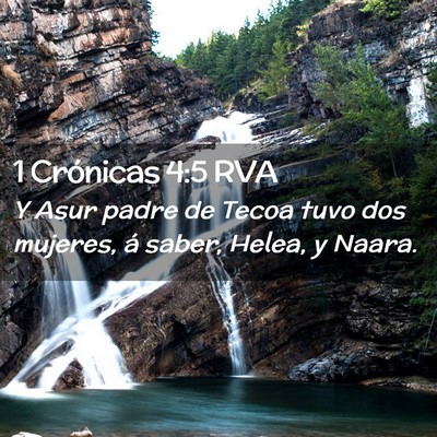 Picture 02 - 1 Crónicas 4:5 RVA - Y Asur padre de Tecoa tuvo dos mujeres, á saber, - Bible Verse Picture