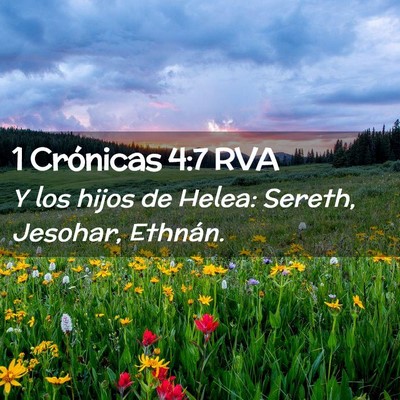 Picture 02 - 1 Crónicas 4:7 RVA - Y los hijos de Helea: Sereth, Jesohar, - Bible Verse Picture